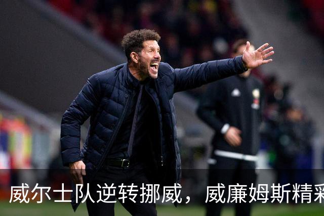 威尔士队逆转挪威，威廉姆斯精彩任意球助攻